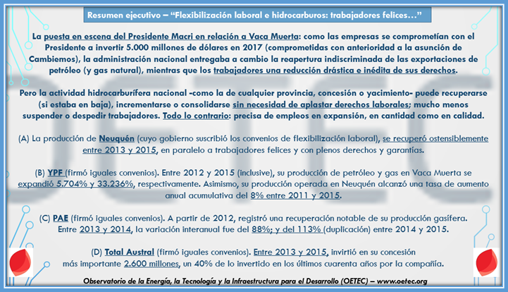 vaca muerta cuadro 1.png