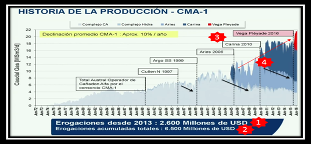 vaca muerta cuadro 8.png