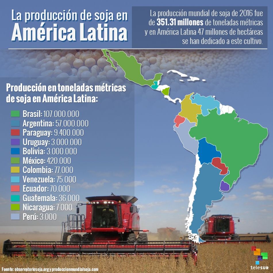 infografia-laproduccixndesojaenamxricalatina-950x950.jpg_180432731.jpg