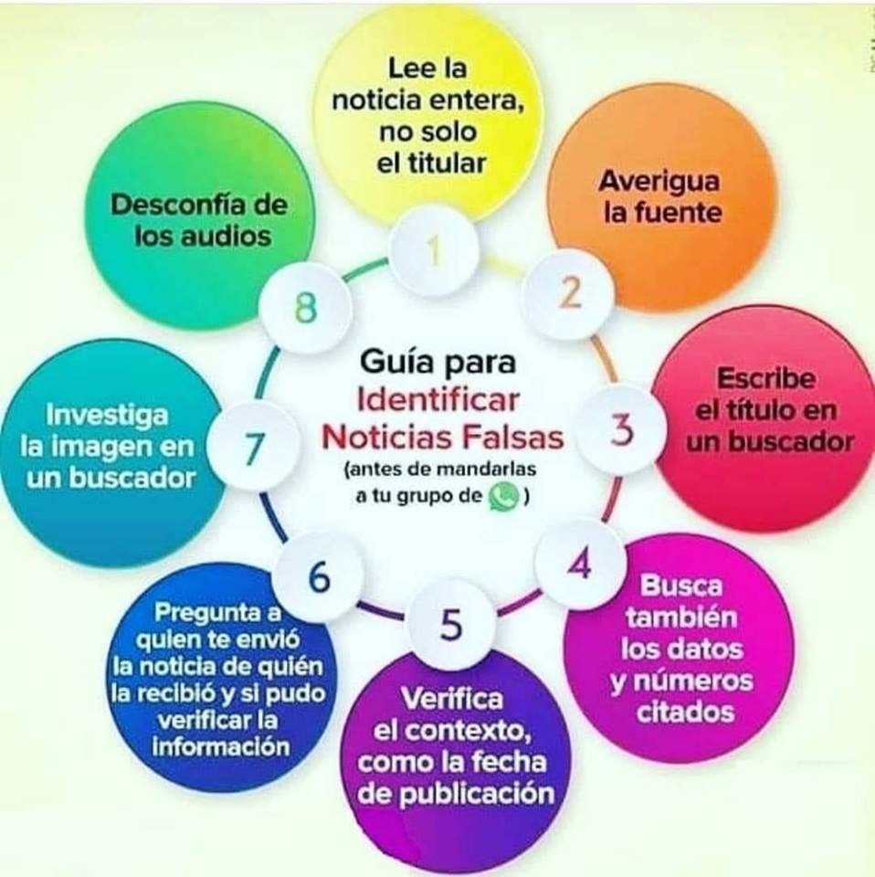 circulografico.jpg